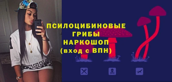 гидра Бронницы