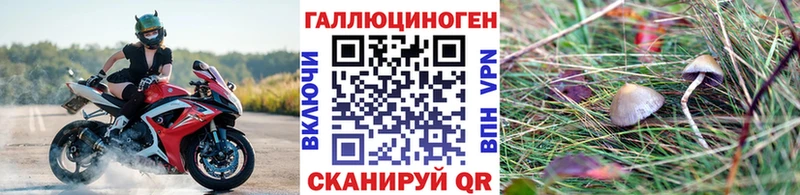 Галлюциногенные грибы прущие грибы  Видное 